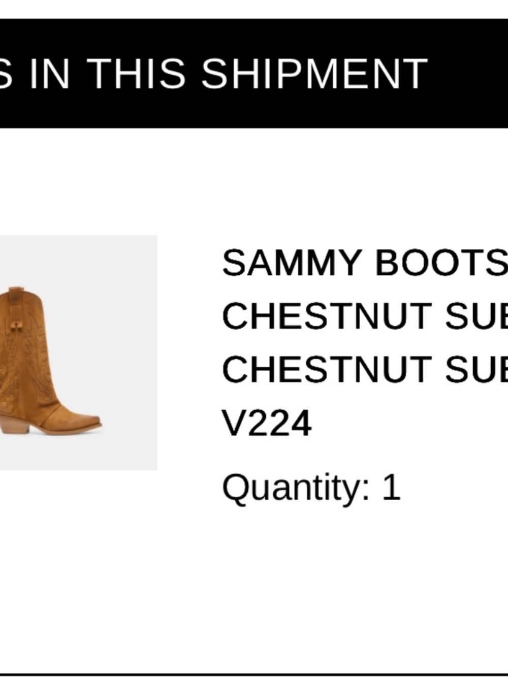 Dolce Vita Suede western cowboy boots - Picture 4 of 4
